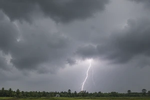 Người đàn ông tử vong nghi do sét đánh khi đi thăm ruộng ở Tây Ninh