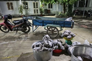 Bắt người vận chuyển 127 kg thằn lằn núi Bà Đen đi tiêu thụ