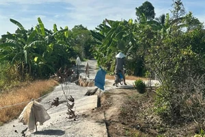 Sạt lở 40m đường bờ kênh ở Tây Ninh, ảnh hưởng hơn 200 hộ dân
