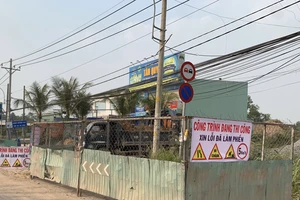 TP.HCM đảm bảo mỹ quan đô thị, an toàn giao thông dịp Tết Giáp thìn 2024