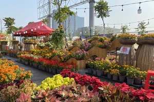 Đã mắt với chợ hoa Tết ở công viên bờ sông Sài Gòn