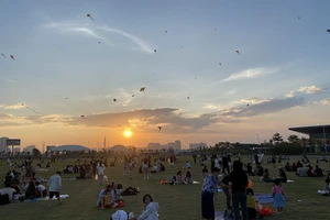 Chiêm ngưỡng cánh đồng diều cực đẹp tại TP.HCM 