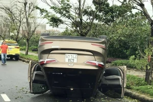 Ô tô húc gãy cây rồi 'phơi bụng', tài xế đạp cửa thoát thân