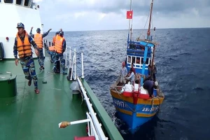 Cứu ngư dân đau ruột thừa trên biển Hoàng Sa