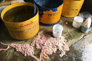 Chế biến lòng bò không nguồn gốc gần bãi rác ở Đà Nẵng