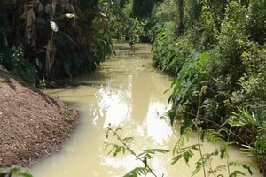 Đề xuất phạt 2 công ty xả nước thải có mùi thuốc trừ sâu