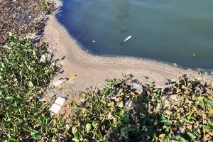 Nước thải đem ngòm kèm váng dầu tuồn ra sông Hàn