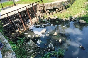 Nước thải bốc mùi thối tuồn ra hồ nước công viên ở Đà Nẵng