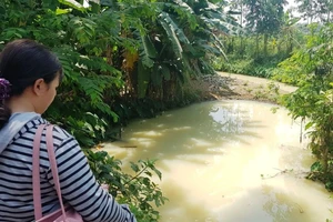 Phạt chủ đầu tư để nước mùi thuốc trừ sâu thải ra môi trường