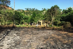 Xót xa dập đám cháy rẫy phát hiện thi thể cụ ông 88 tuổi 