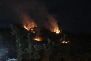 Hàng trăm người chữa cháy rừng trên núi Phước Tường, Đà Nẵng