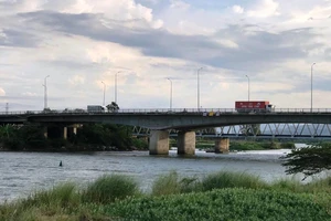 Đề xuất khẩn: Xây dựng đập tạm ngăn mặn trên sông Cầu Đỏ