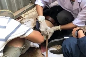 Người đàn ông bị thanh sắt rơi từ trên cao đâm xuyên bụng