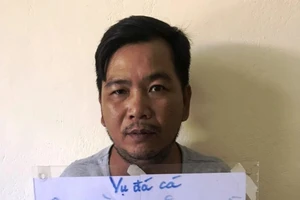 Bắt sới đá cá ăn tiền hàng trăm triệu đồng ở Đà Nẵng