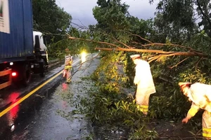 Đà Nẵng: Ngã hàng loạt cây xanh, giao thông hỗn loạn