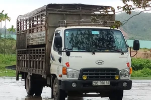 CSGT Đà Nẵng đuổi bắt xe tải chở heo vượt trạm kiểm dịch