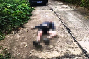 Phát hiện thi thể 1 người New Zealand trên bán đảo Sơn Trà 