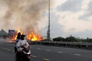 Dập tắt đám cháy thực bì trên bán đảo Sơn Trà, Đà Nẵng