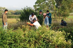 Người đàn ông bị kéo lê trên đường ray gần 20 m