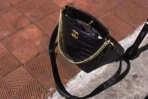 Cô gái mang túi xách nhảy cầu Rồng ở Đà Nẵng