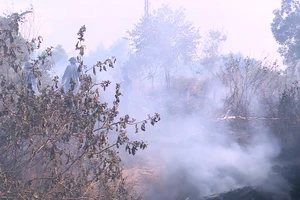 Cháy hơn 5 ha rừng trồng sát sân bay Đà Nẵng