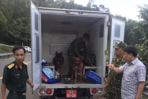 Hàng trăm chiến sĩ cùng chó nghiệp vụ vây bắt kẻ vượt ngục