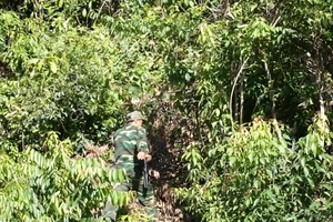 Lùng sục sâu trong rừng Hải Vân bắt kẻ trốn trại giam