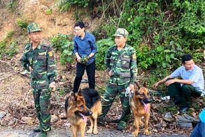 Bộ Quốc phòng vào cuộc vụ truy bắt phạm nhân 2 lần trốn trại