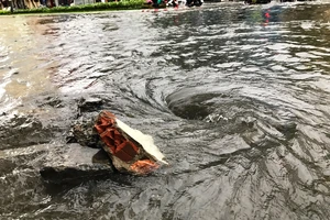 Đà Nẵng: Hàng loạt tuyến đường bị ngập chìm vì ảnh hưởng bão