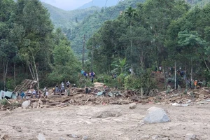Chùm ảnh: Tập trung tìm nạn nhân sống sót vụ sạt lở