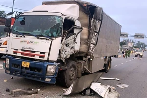 Tài xế dừng kiểm tra xe, bị ô tô tải tông tử vong