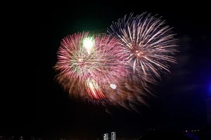 TP.HCM rực sáng pháo hoa chào năm mới 2019