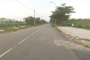 Có thể tố giác Kim Phát về hành vi lừa đảo