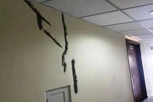 Sở Xây dựng yêu cầu sửa nhà cho cư dân Flora Anh Đào