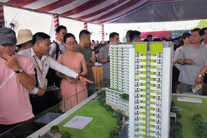 Căn hộ vừa túi tiền vẫn tăng trưởng tốt