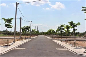 Phân khúc đất nền đang thu hút người mua