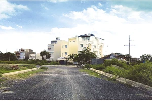 Khóc ròng vì mua phải đất... “hứa”