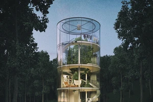 Nhà 4 tầng trong suốt nằm giữa rừng