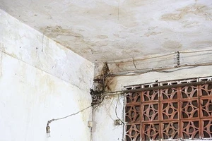 Sống ở chung cư... nát