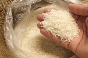 Đặt tủ lạnh và hũ gạo sao cho đúng phong thủy?