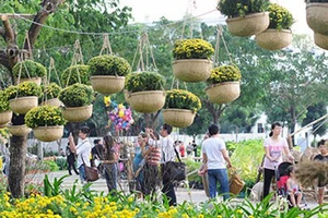 Hội hoa xuân Phú Mỹ Hưng: 'Xuân no ấm'