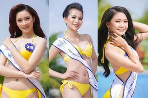 Đề nghị dừng tổ chức Hoa hậu Biển VN toàn cầu 2018