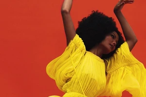 Hoa hậu đẹp nhất thế giới của VN biến hóa tắc kè hoa