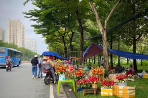 Nhộn nhịp hoa tươi trước ngày Phụ nữ Việt Nam