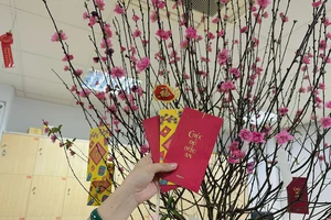 Tục lệ lì xì, nên bỏ hay giữ?