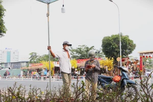 Sao phải chờ đến 30 Tết mới mua hoa?