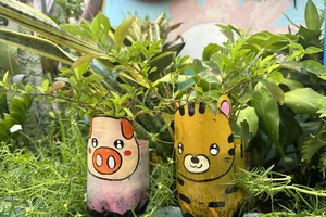 Biến bãi rác thành mảng xanh từ vật liệu tái chế 