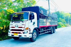 Xe phản chiếu ánh sáng vào người tôi rất khó chịu, có phạt được không?