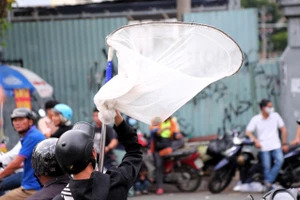 Giật tiền cúng cô hồn: Ranh giới giữa phong tục và pháp luật