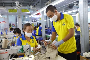 Đi làm ngày Tết 2026: Khi nào là nghĩa vụ, khi nào là quyền thỏa thuận?